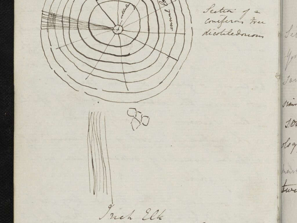 C Lyell notebook page 1